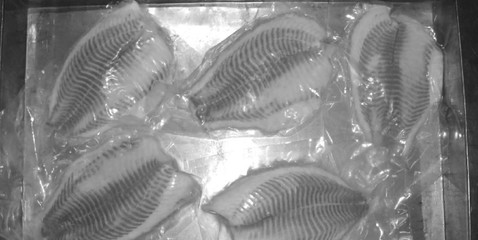 《水產(chǎn)食品加工技術》最新章節(jié) 水產(chǎn)品冷凍加工技術解析