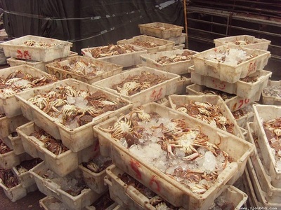 玉環(huán)縣美滋滋水產(chǎn)品 鮮活水產(chǎn)品冷凍加工及銷售的優(yōu)質(zhì)企業(yè)