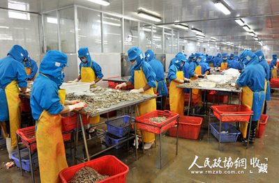 還君明珠終有時(shí) 北海市水產(chǎn)品冷凍加工的機(jī)遇與挑戰(zhàn)