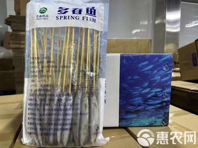 多春魚滿籽 新鮮冷凍的海洋珍品與燒烤佳選