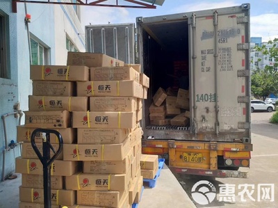 冷凍鱸魚 速鮮白蕉海鱸的現(xiàn)代水產(chǎn)加工與優(yōu)勢(shì)