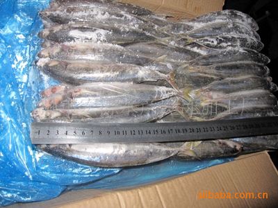 批發冷凍兩片裝四破魚 石獅市宏源水產的加工智慧與智農分級體系