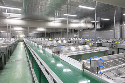 山東藍潤集團再獲殊榮 水產品冷凍加工領域再譜新篇