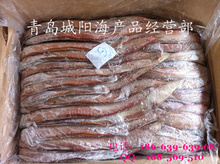 細鱗魚冷凍加工 現代水產品批發與供應的優質選擇